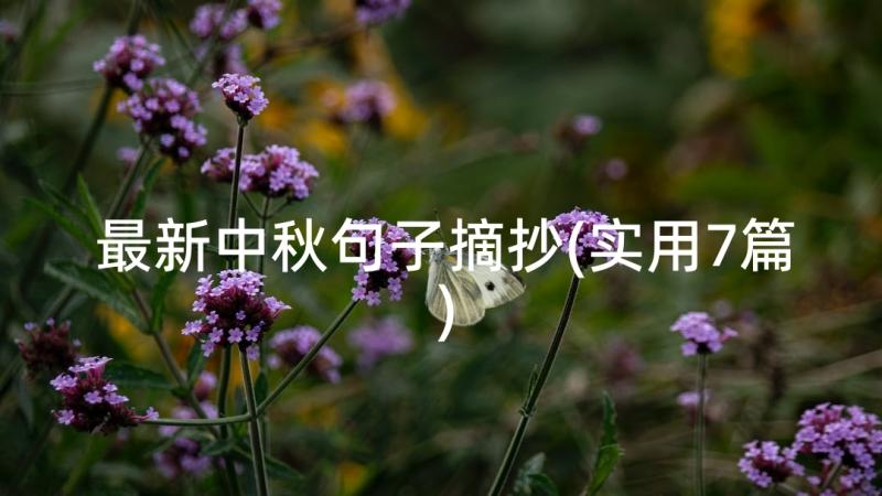 最新中秋句子摘抄(实用7篇)