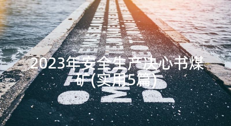 2023年安全生产决心书煤矿(实用5篇)