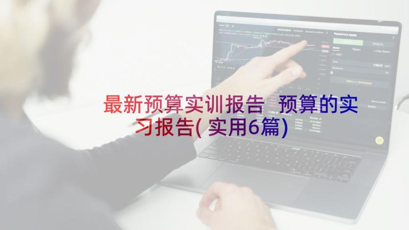 最新预算实训报告 预算的实习报告(实用6篇)