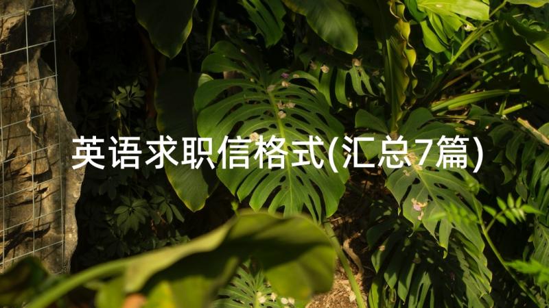 英语求职信格式(汇总7篇)