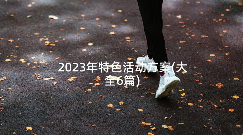 2023年特色活动方案(大全6篇)