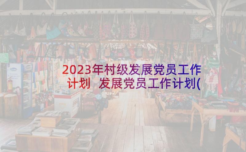 2023年村级发展党员工作计划 发展党员工作计划(实用6篇)