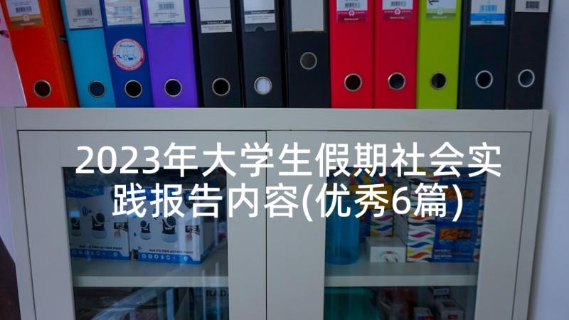 2023年大学生假期社会实践报告内容(优秀6篇)