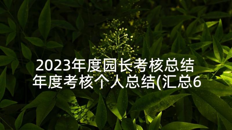 2023年度园长考核总结 年度考核个人总结(汇总6篇)