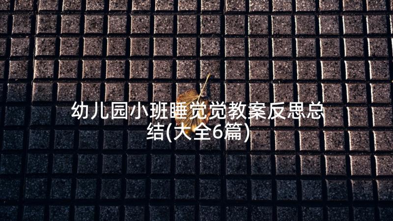 幼儿园小班睡觉觉教案反思总结(大全6篇)