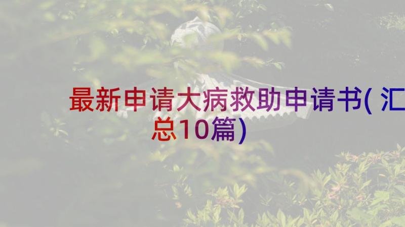 最新申请大病救助申请书(汇总10篇)