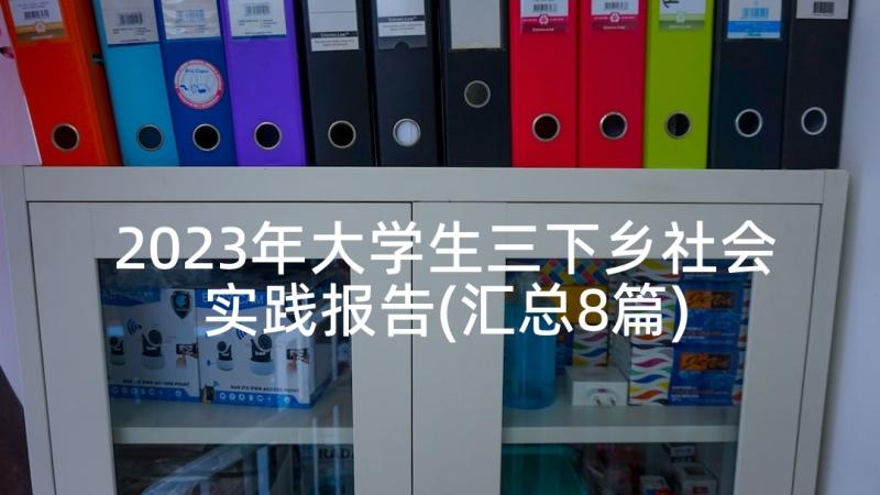 2023年大学生三下乡社会实践报告(汇总8篇)