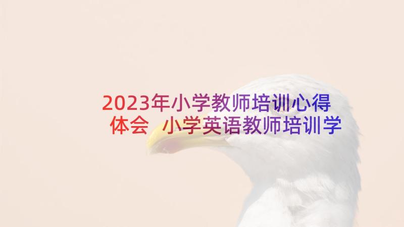 2023年小学教师培训心得体会 小学英语教师培训学习心得体会(通用5篇)