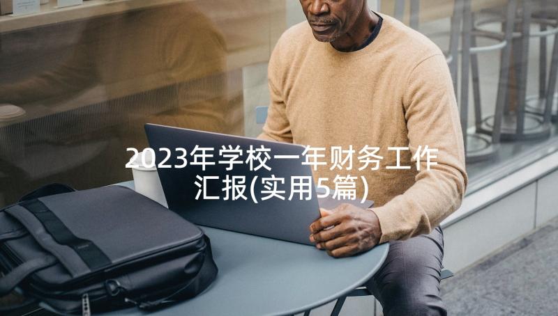 2023年学校一年财务工作汇报(实用5篇)