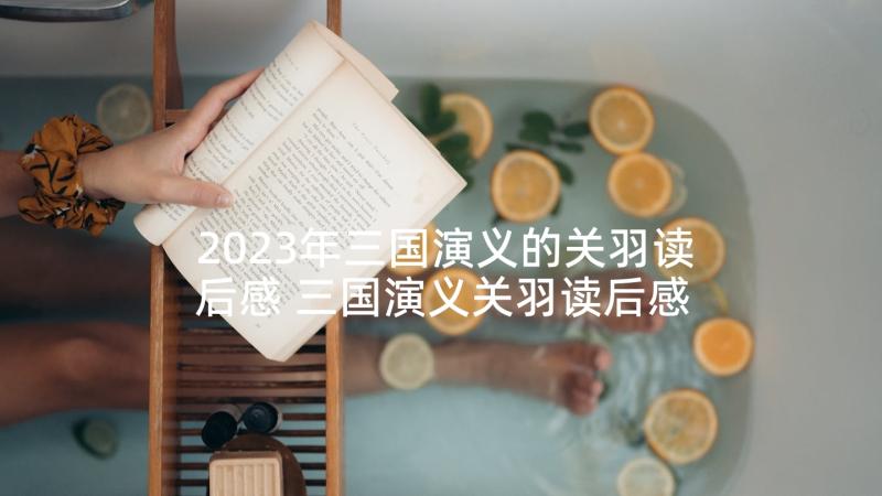 2023年三国演义的关羽读后感 三国演义关羽读后感(优质5篇)