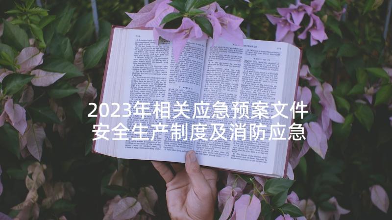 2023年相关应急预案文件 安全生产制度及消防应急预案(优质5篇)