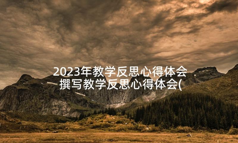 2023年教学反思心得体会 撰写教学反思心得体会(大全6篇)