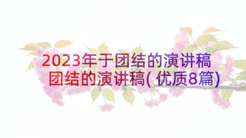 2023年于团结的演讲稿 团结的演讲稿(优质8篇)