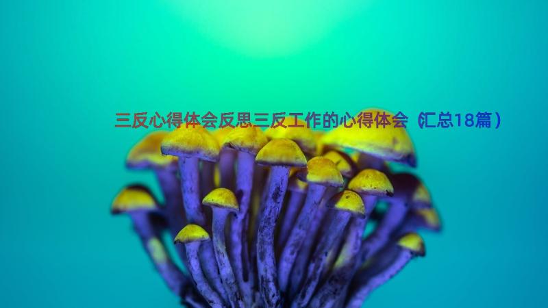 三反心得体会反思三反工作的心得体会（汇总18篇）