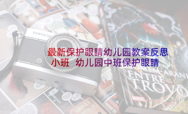 最新保护眼睛幼儿园教案反思小班 幼儿园中班保护眼睛预防近视教案(实用6篇)