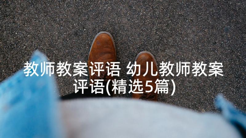 教师教案评语 幼儿教师教案评语(精选5篇)