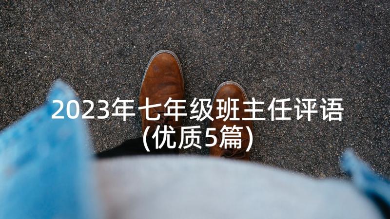 2023年七年级班主任评语(优质5篇)