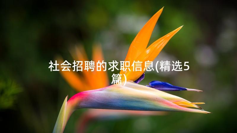 社会招聘的求职信息(精选5篇)