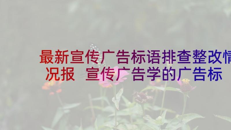 最新宣传广告标语排查整改情况报 宣传广告学的广告标语(精选10篇)