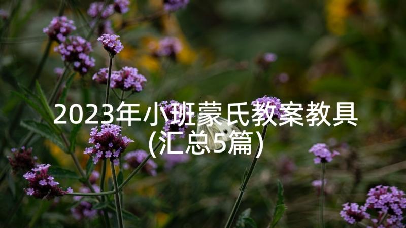 2023年小班蒙氏教案教具(汇总5篇)