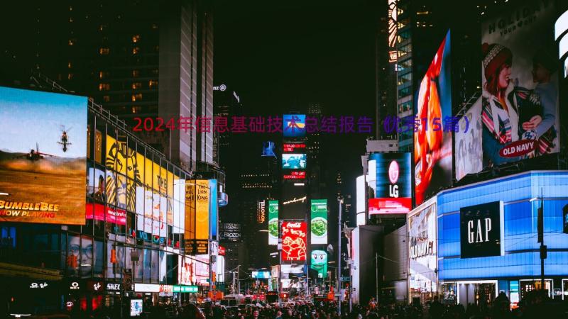 2024年信息基础技术总结报告（优秀15篇）