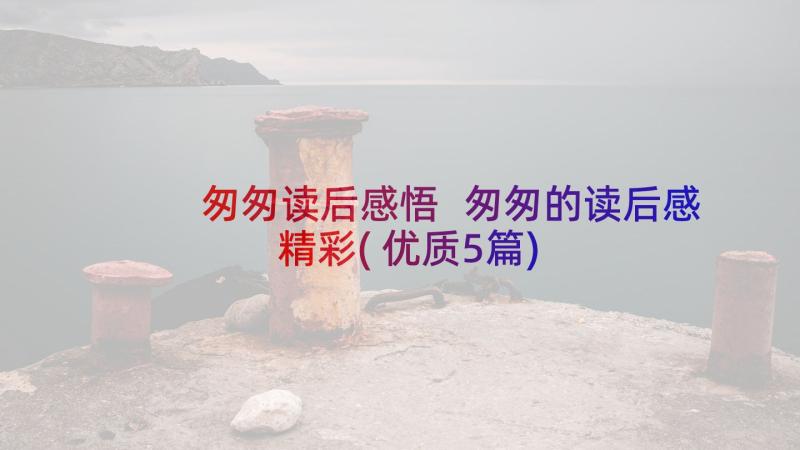 匆匆读后感悟 匆匆的读后感精彩(优质5篇)