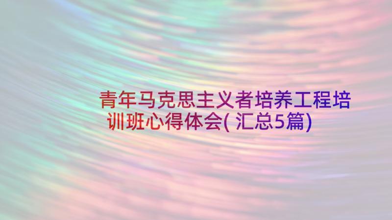 青年马克思主义者培养工程培训班心得体会(汇总5篇)