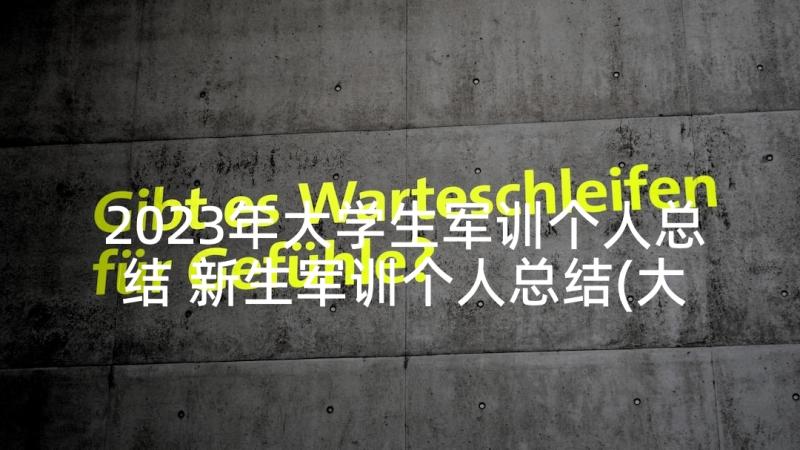 2023年大学生军训个人总结 新生军训个人总结(大全9篇)