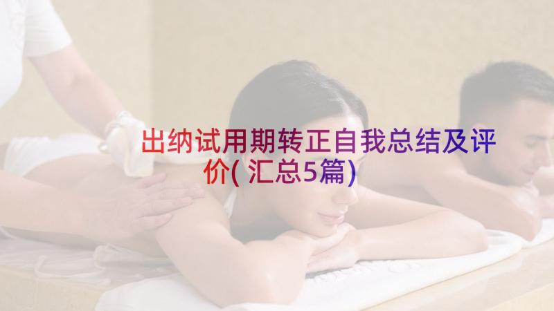 出纳试用期转正自我总结及评价(汇总5篇)