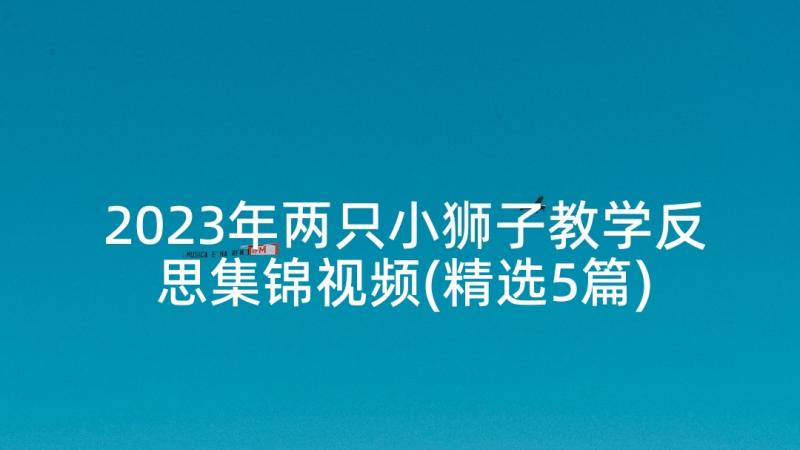 2023年两只小狮子教学反思集锦视频(精选5篇)