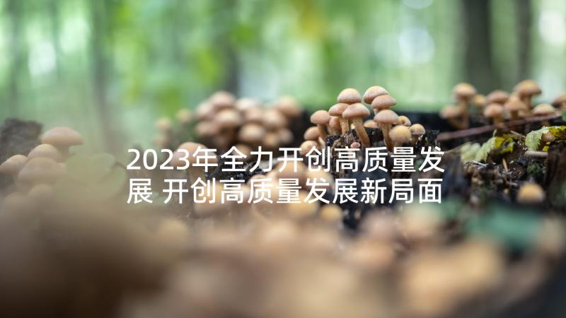 2023年全力开创高质量发展 开创高质量发展新局面心得体会(大全5篇)