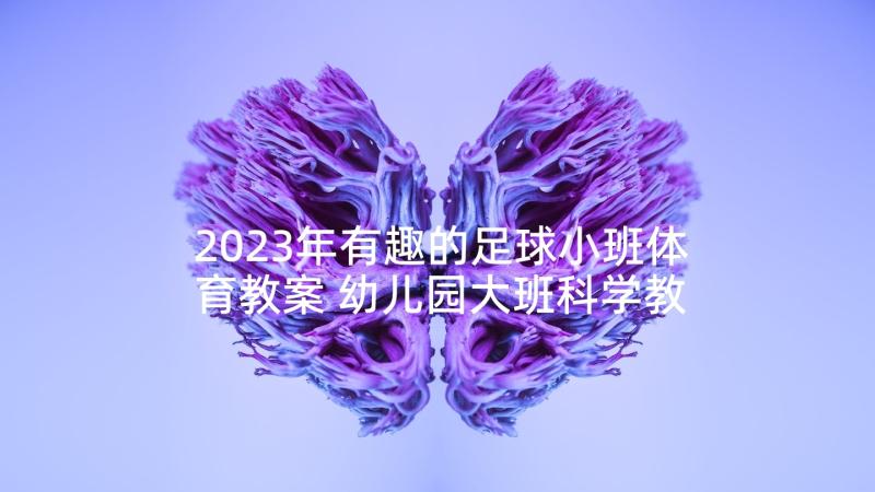 2023年有趣的足球小班体育教案 幼儿园大班科学教案有趣的标志含反思(大全10篇)