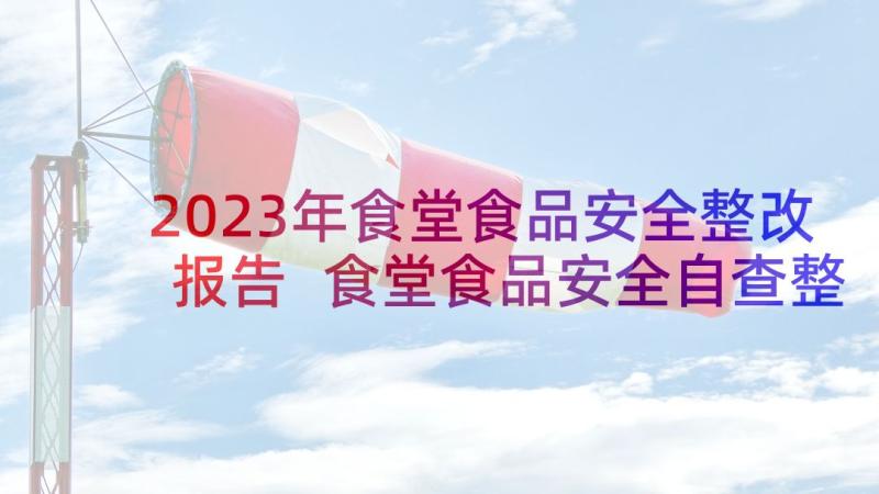 2023年食堂食品安全整改报告 食堂食品安全自查整改报告(优质5篇)