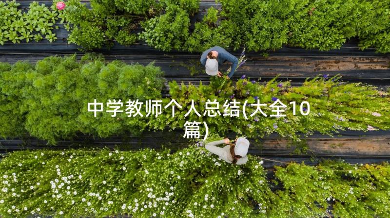 中学教师个人总结(大全10篇)