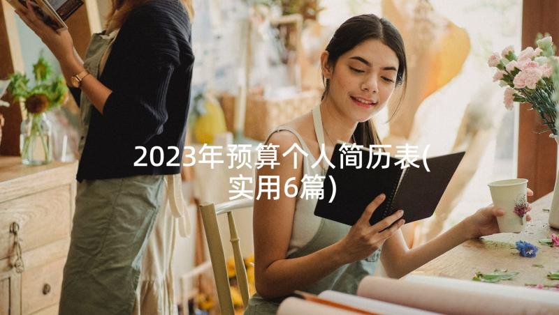 2023年预算个人简历表(实用6篇)