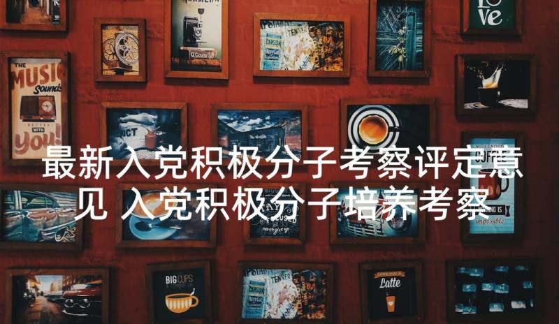 最新入党积极分子考察评定意见 入党积极分子培养考察情况(汇总6篇)