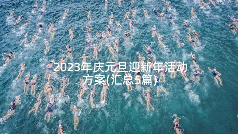 2023年庆元旦迎新年活动方案(汇总5篇)