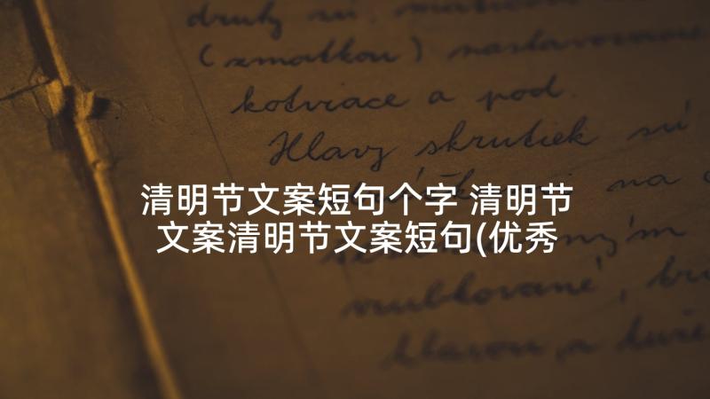 清明节文案短句个字 清明节文案清明节文案短句(优秀5篇)