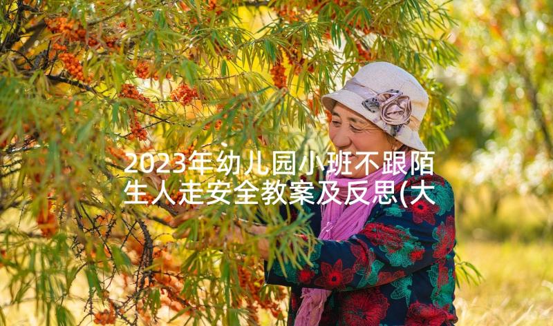 2023年幼儿园小班不跟陌生人走安全教案及反思(大全5篇)