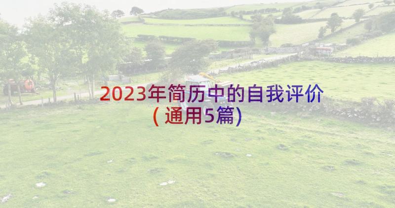 2023年简历中的自我评价(通用5篇)