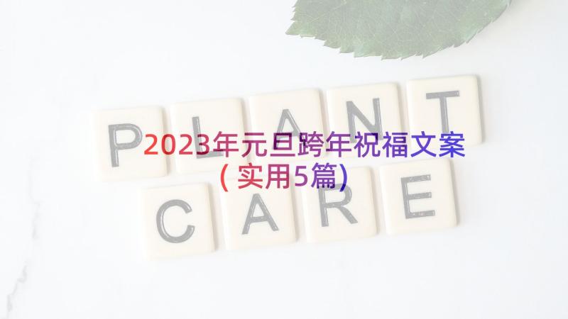 2023年元旦跨年祝福文案(实用5篇)