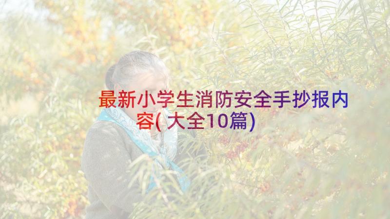 最新小学生消防安全手抄报内容(大全10篇)