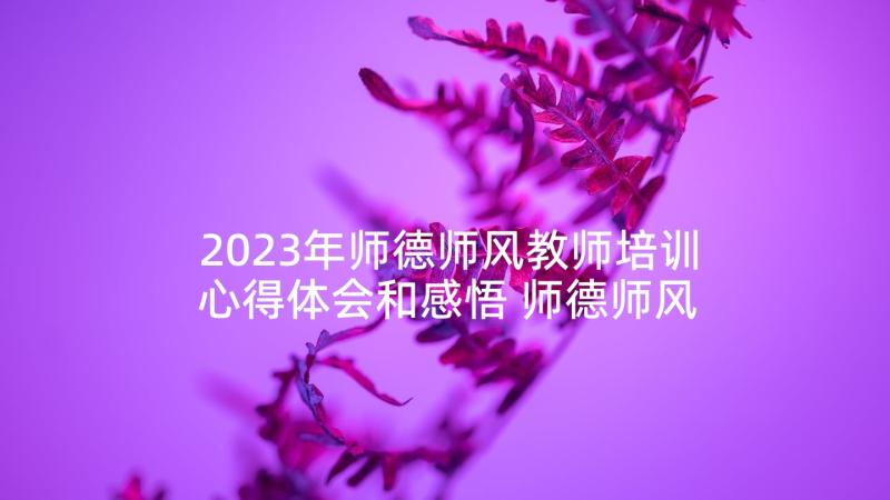 2023年师德师风教师培训心得体会和感悟 师德师风教师培训心得体会(精选6篇)