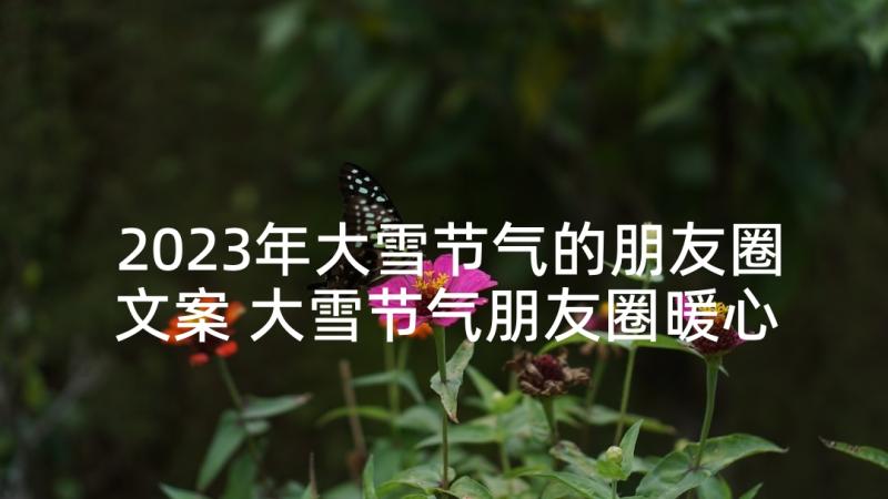 2023年大雪节气的朋友圈文案 大雪节气朋友圈暖心文案(优质5篇)