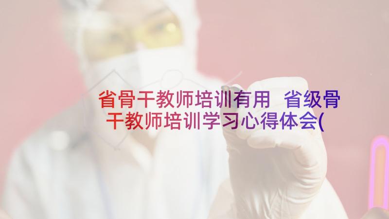 省骨干教师培训有用 省级骨干教师培训学习心得体会(大全5篇)