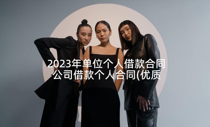 2023年单位个人借款合同 公司借款个人合同(优质9篇)