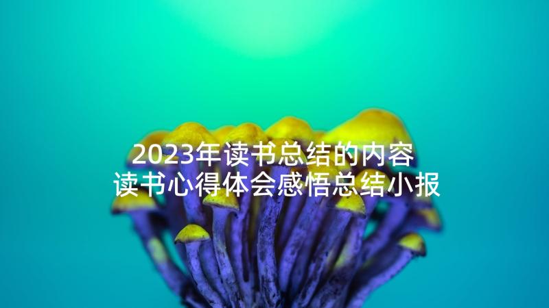 2023年读书总结的内容 读书心得体会感悟总结小报(优秀5篇)