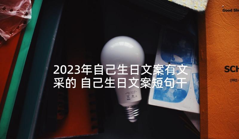 2023年自己生日文案有文采的 自己生日文案短句干净说说(优秀5篇)