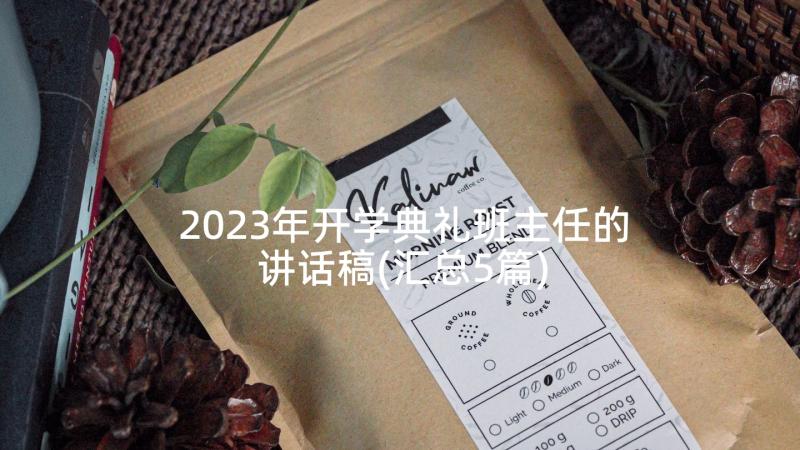 2023年开学典礼班主任的讲话稿(汇总5篇)