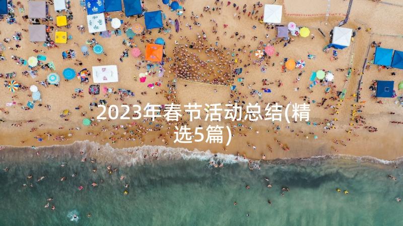 2023年春节活动总结(精选5篇)